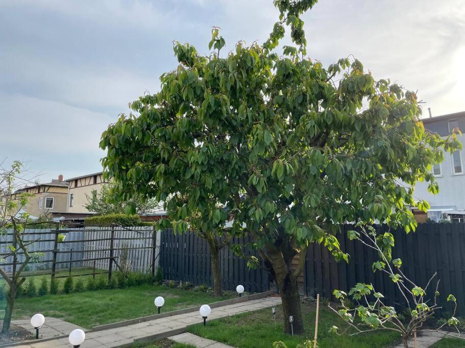 Schoenes Reihenhaus Mit Garten มัคเดอบวร์ก ภายนอก รูปภาพ